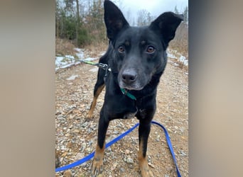 Alora sucht sportliche Menschen