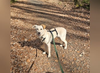 Melody sucht ein neues Zuhause