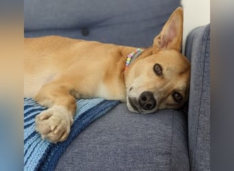 Aurell – Kuscheln, Lebensfreude und ganz viel Liebe