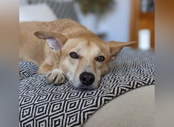 Aurell – Kuscheln, Lebensfreude und ganz viel Liebe
