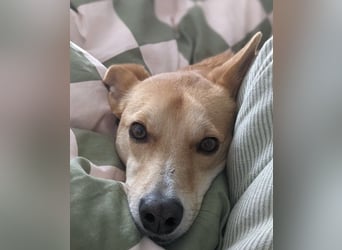Aurell – Kuscheln, Lebensfreude und ganz viel Liebe