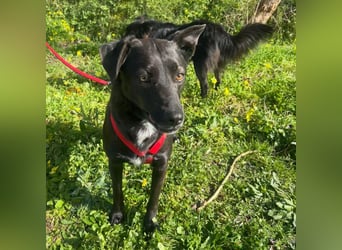 Luna - sucht nicht viel… nur endlich ihre Familie