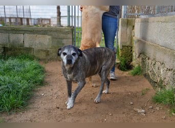 liebe Tigrata sucht ihr Zuhause für immer