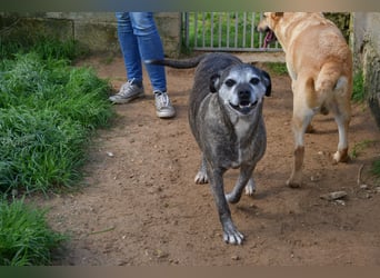 liebe Tigrata sucht ihr Zuhause für immer