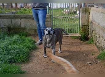 liebe Tigrata sucht ihr Zuhause für immer