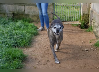 liebe Tigrata sucht ihr Zuhause für immer