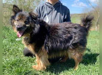 BUGY musste ein elendes Leben fristen