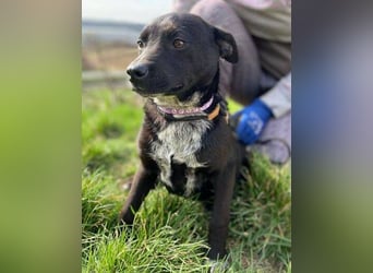 HAPPY  wurde eiskalt ausgesetzt