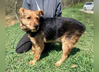 MILLI , wer zeigt ihr wie schön das Leben sein kann.?