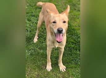 BONI ist sehr liebevoll