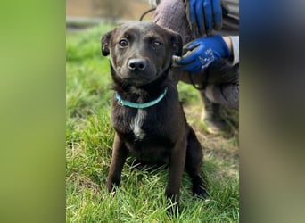 ZARA - wer zeigt ihr die Sonnenseite des Lebens?