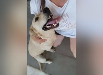 REXI ist ein Goldschatz REXI ist ein Goldschatz