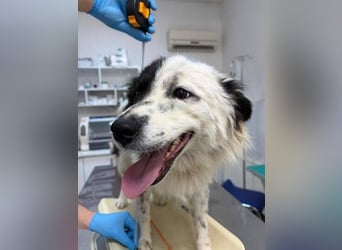 TUCKER ist in Gefahr