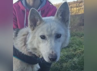 ADRIENA ist verspielt und freundlich