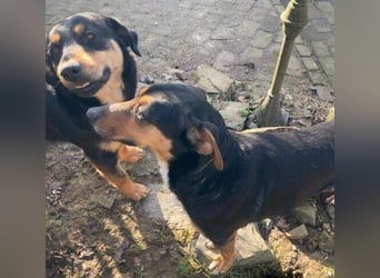 LENKA ist eine ganz sanft Seele