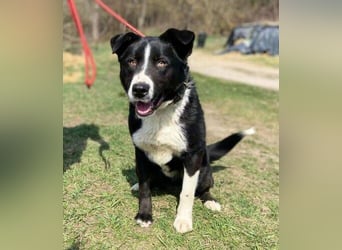 MANY wer tröstet ihn?