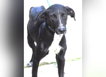 JEFF 2 hat Angst, wer rettet ihn?