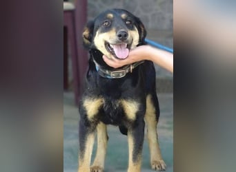 LENKA ist eine ganz sanft Seele