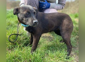 ZARA - wer zeigt ihr die Sonnenseite des Lebens?