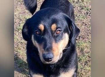 LENKA ist eine ganz sanft Seele