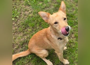 BONI ist sehr liebevoll