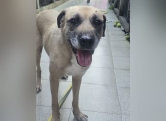 KIKA, wer ist ihre Rettung?