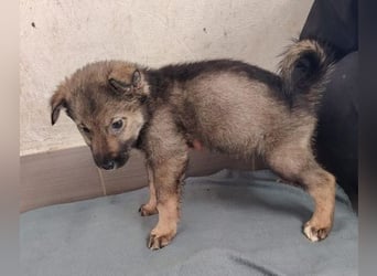 DUNJA das Baby wurde einfach zurück gelassen
