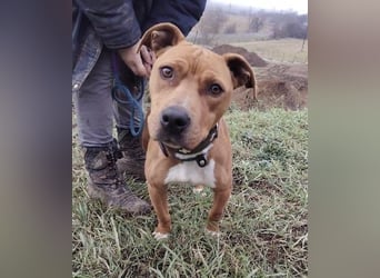 MAYA 2 musste an der Kette hängen