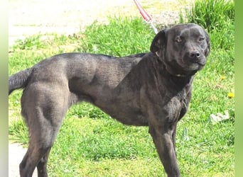 NIKA - Wer gibt ihr die Hoffnung zurück?