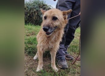 ELZA 2 ist super nett und freundlich