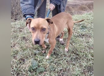 MAYA 2 musste an der Kette hängen