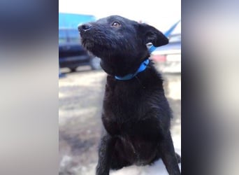 TEA muss um ihr junges Leben zittern