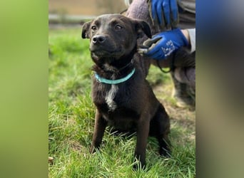 ZARA - wer zeigt ihr die Sonnenseite des Lebens?