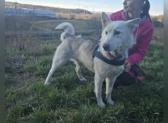 ADRIENA ist verspielt und freundlich