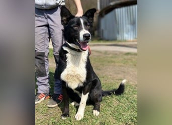 MANY wer tröstet ihn?