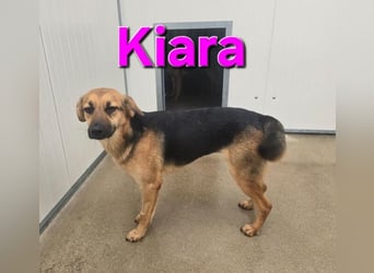 KIARA zittert um ihr junges Leben