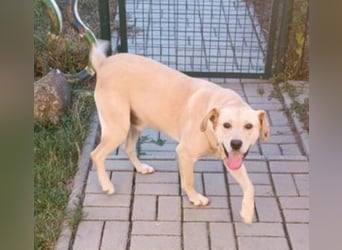 REXI ist ein Goldschatz REXI ist ein Goldschatz