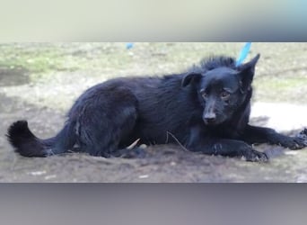 TEA muss um ihr junges Leben zittern