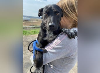 LUCKY 2 sucht sein Glück