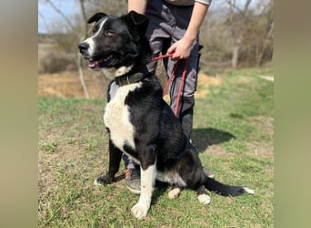 MANY wer tröstet ihn?