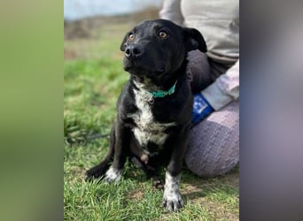 HAPPY  wurde eiskalt ausgesetzt