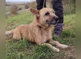 ELZA 2 ist super nett und freundlich