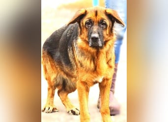 MARINA ist einfach wunderbar