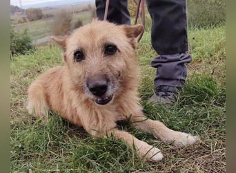 ELZA 2 ist super nett und freundlich