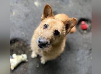 ELZA 2 ist super nett und freundlich