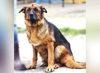 MARINA ist einfach wunderbar