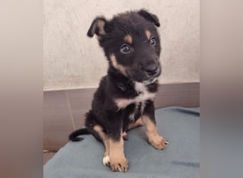 NATHAN das Baby wurde herzlos ausgesetzt