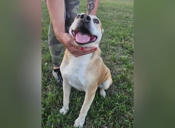 JACK ist eine Seele von Hund