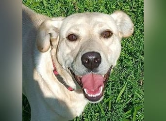 REXI ist ein Goldschatz REXI ist ein Goldschatz