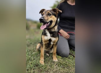 IKO wurde in letzter Sekunde gerettet